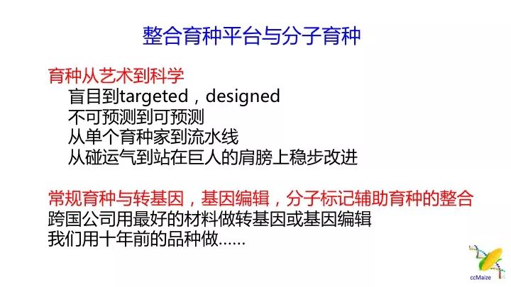 新澳精选资料免费提供｜强调性解析落实策略_挑战版P68.42