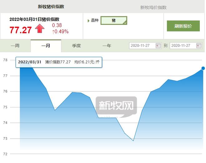 肇庆四会最新猪价实时监测，精准掌握市场动态