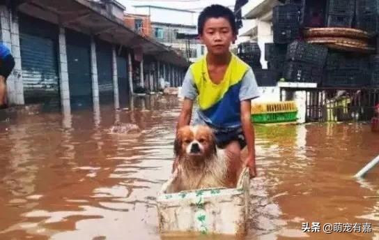 “19号台风动态直播，风雨同舟，安全伴行！”