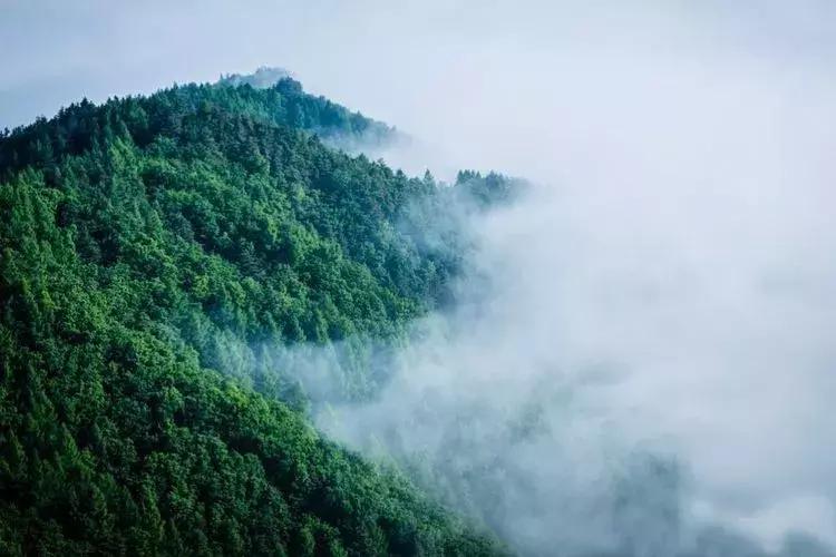 “光山今日资讯，美好瞬间尽收眼底”