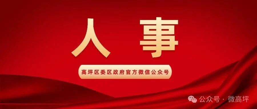 高坪区最新人事变动一览：权威发布任免信息速览